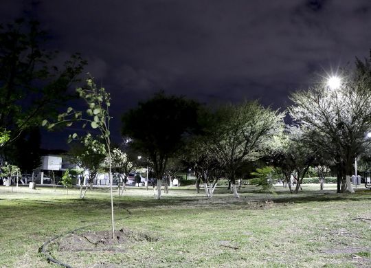 photo5118548913509476471