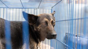 WhatsApp Image 2025-09-24 at 12.37.37 PM