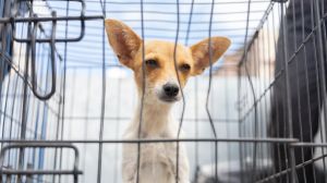 WhatsApp Image 2025-09-24 at 12.37.54 PM