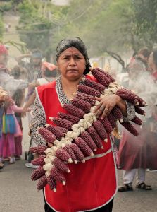 WhatsApp Image 2025-09-28 at 12.04.19 PM