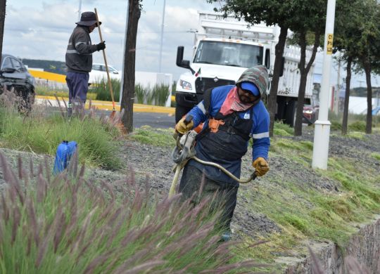 WhatsApp Image 2025-10-20 at 11.03.10 AM