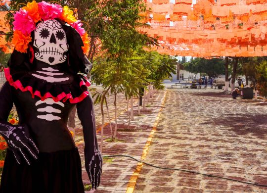 WhatsApp Image 2025-10-30 at 12.23.25 PM