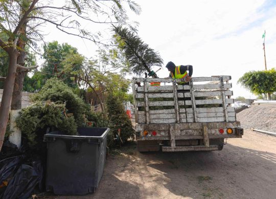 WhatsApp Image 2026-01-06 at 12.25.27 PM