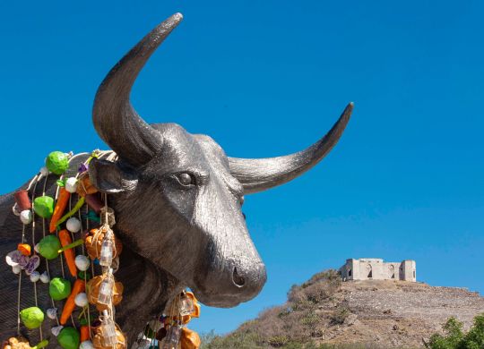 WhatsApp Image 2026-01-15 at 1.19.13 PM