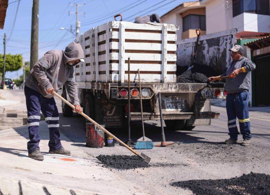 WhatsApp Image 2026-01-20 at 12.24.27 PM